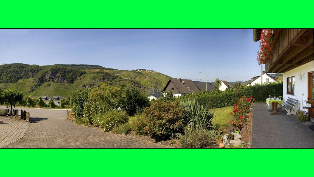 Burg  Weingut Hirschen Enkircherweg מראה חיצוני תמונה