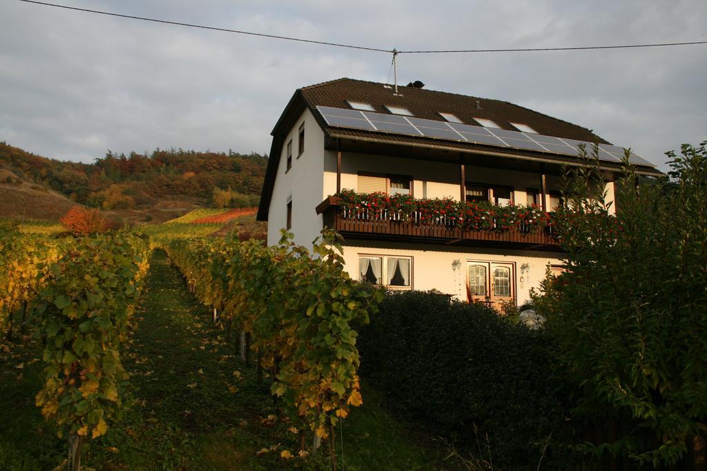 Burg  Weingut Hirschen Enkircherweg מראה חיצוני תמונה